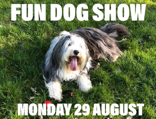 Fun Dog Show – 29 August 2022